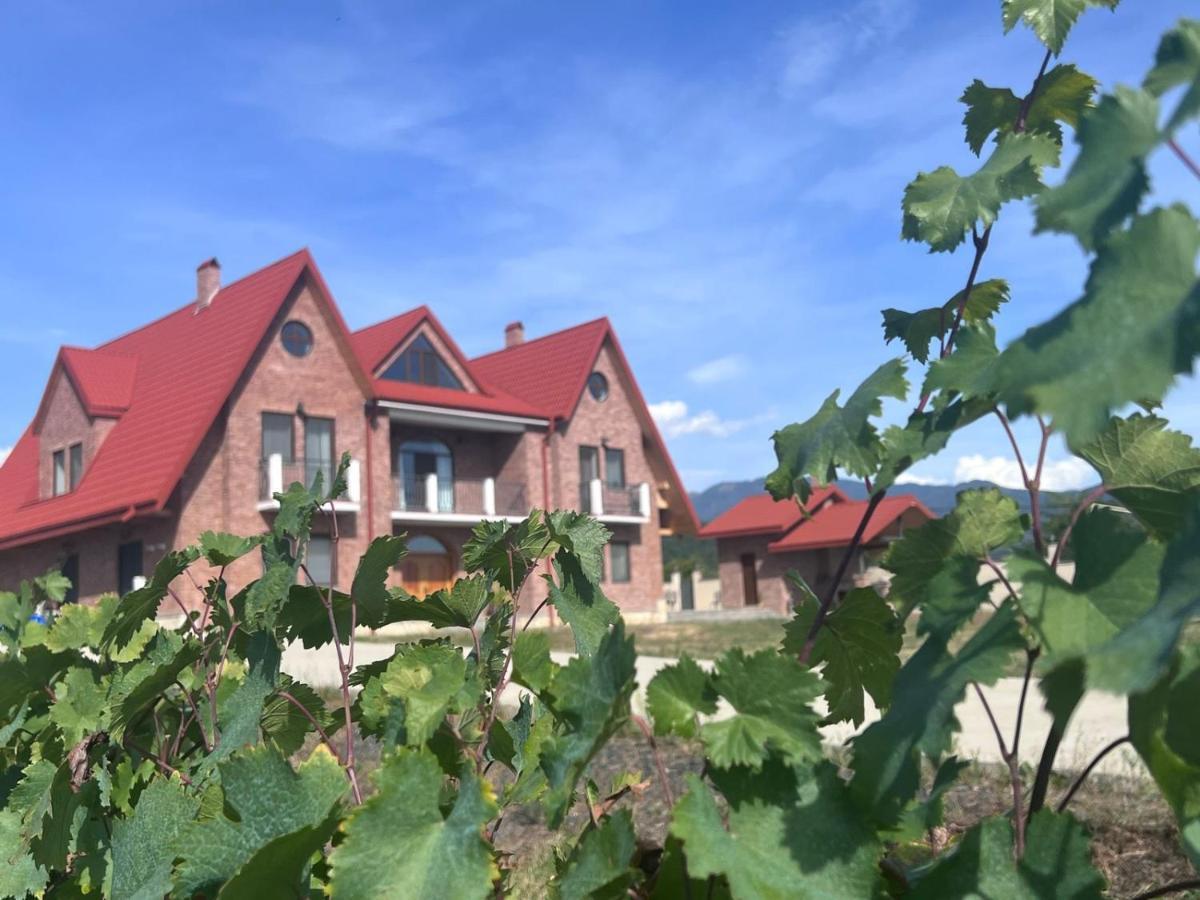 Hotel Begaso Family Winery Kvareli Exterior foto