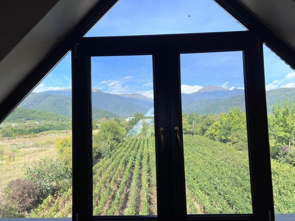 Hotel Begaso Family Winery Kvareli Exterior foto