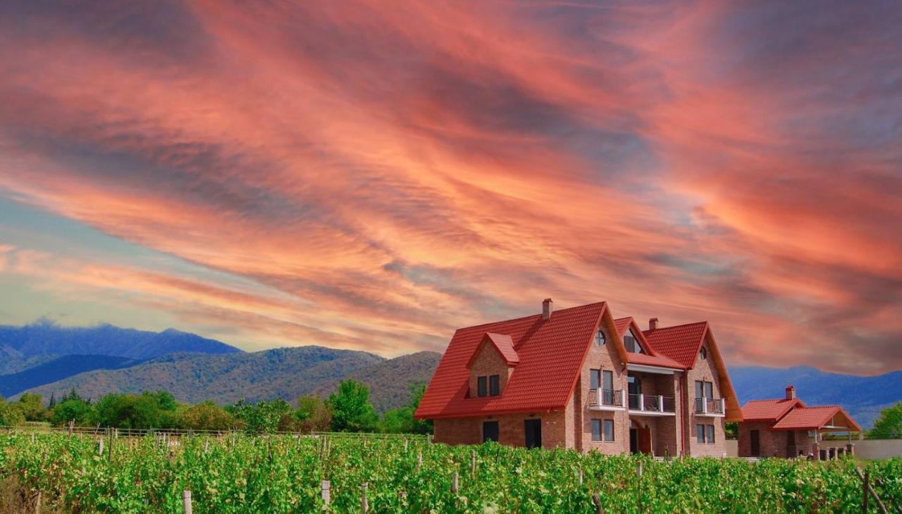 Hotel Begaso Family Winery Kvareli Exterior foto