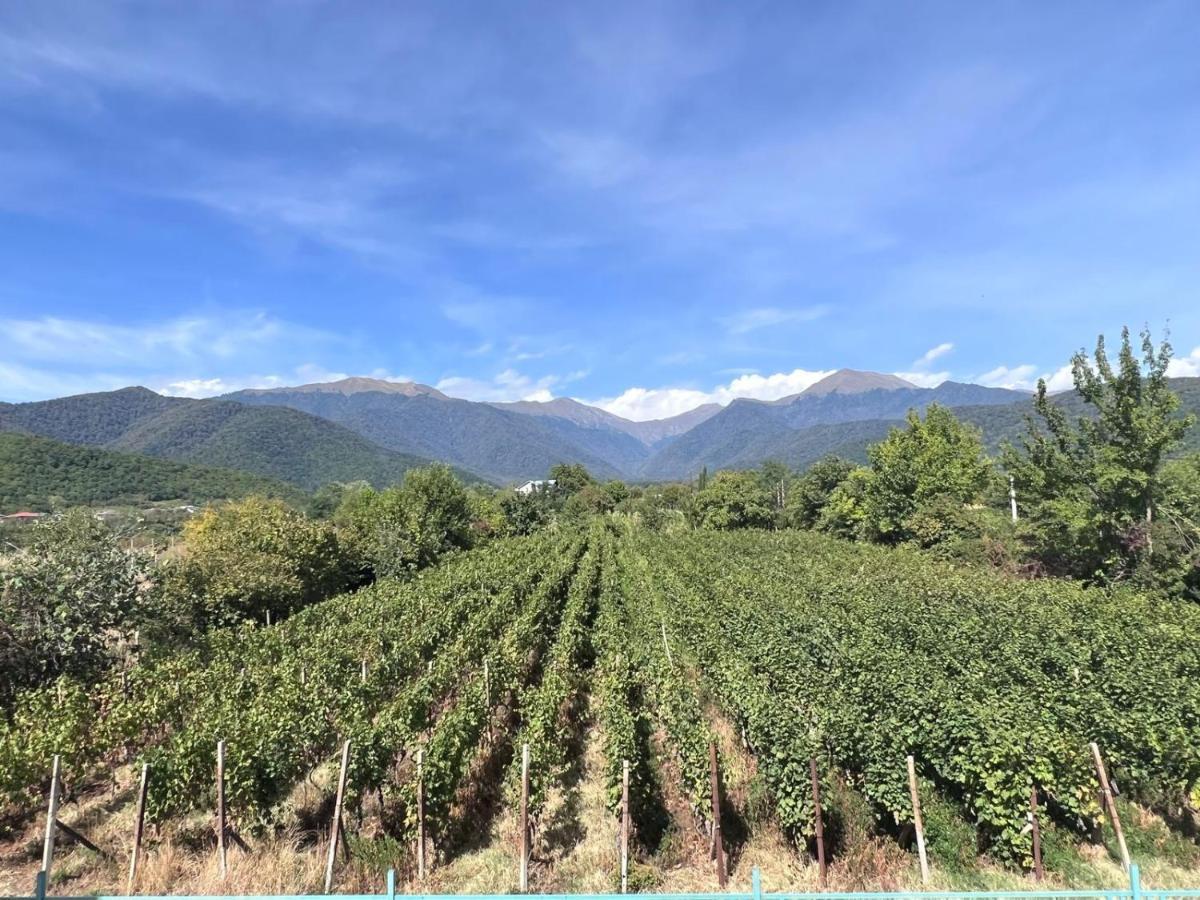 Hotel Begaso Family Winery Kvareli Exterior foto