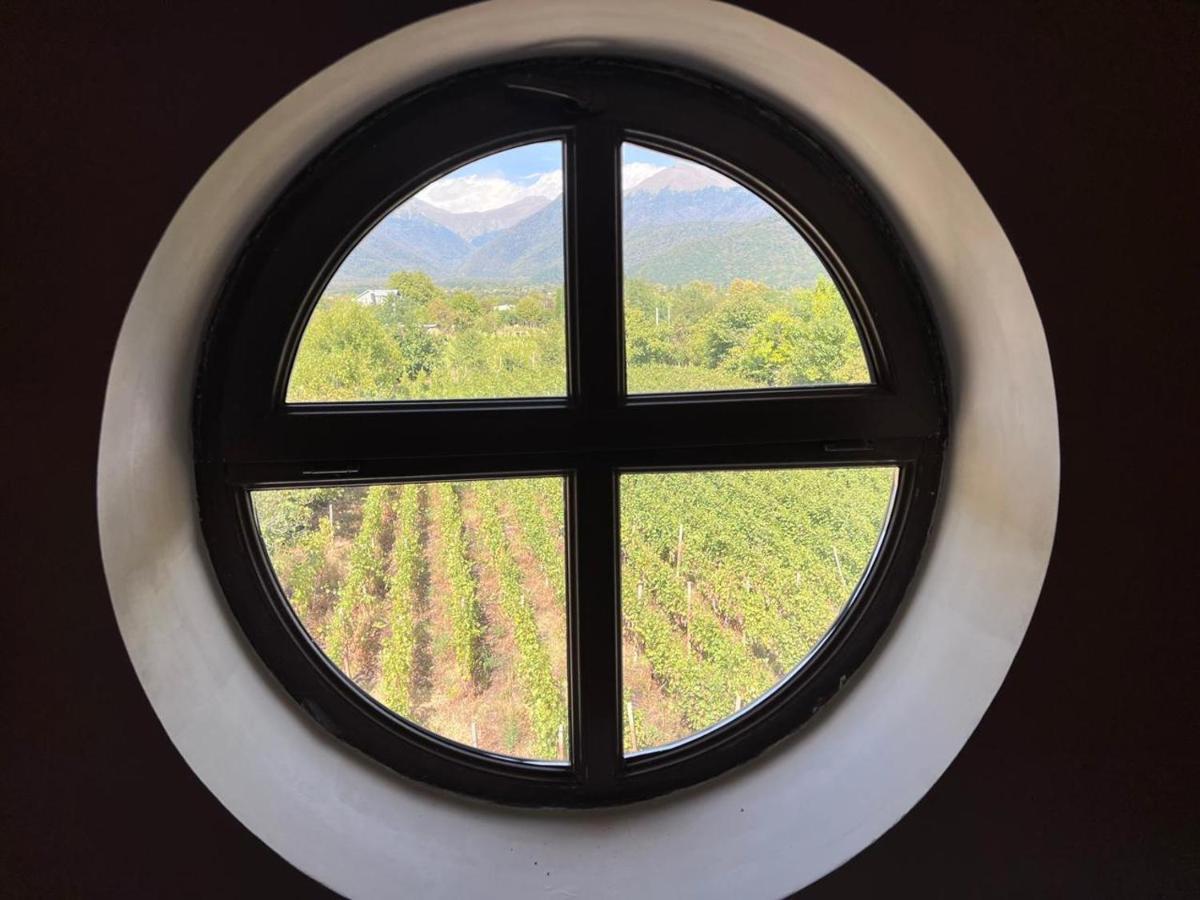 Hotel Begaso Family Winery Kvareli Exterior foto